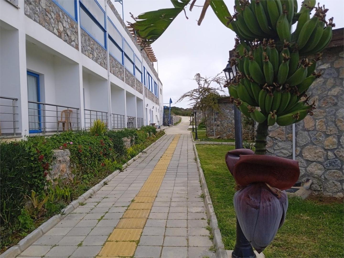 Ardic Agaci Holiday Village Famagusta  Zewnętrze zdjęcie