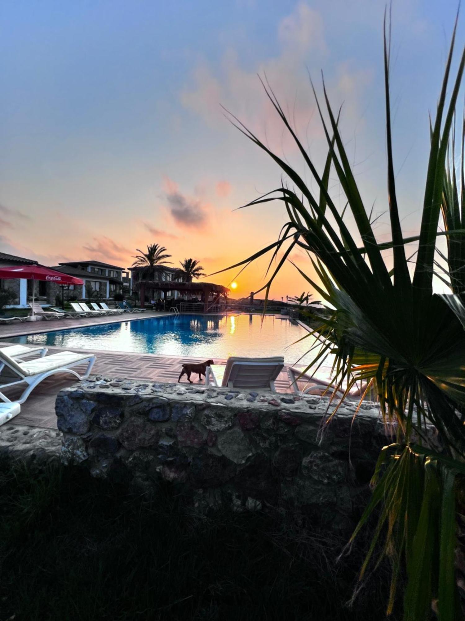 Ardic Agaci Holiday Village Famagusta  Zewnętrze zdjęcie